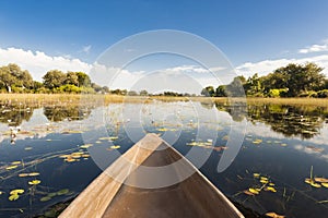 Dugout trip in Botswana. Canoe tour through flooded Okavango Delta, Botswana photo