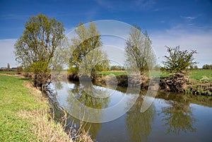 Floodplain along the IJssel near Voorst