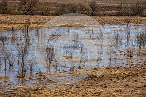 The floodplain flooded with water