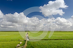 Floodplain landscape in Holland