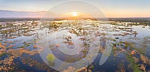 Floodplain of the river Prypiac during spring overflow