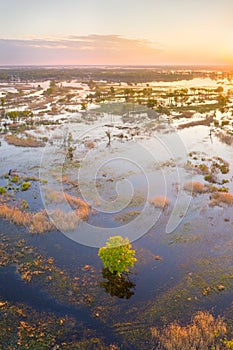 Floodplain of the river Prypiac during spring overflow