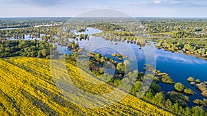 Floodplain of the river Prypiac during spring overflow