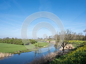 floodplanes of river waal near zaltbommel and windmill near castle waardenburg under blue sky in spring