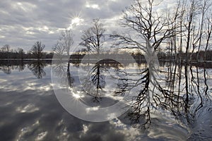 Floodwater reflection of trees and clouds on river meadow in Soomaa national park