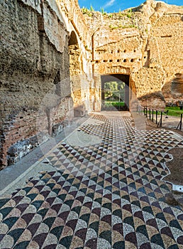 Floor in the Baths of Caracalla in Rome photo