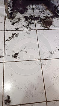 Floor with Black Hair Clippings in a Hair Salon