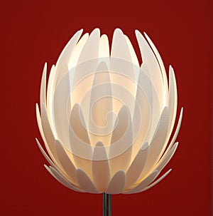 Floor lamp flower