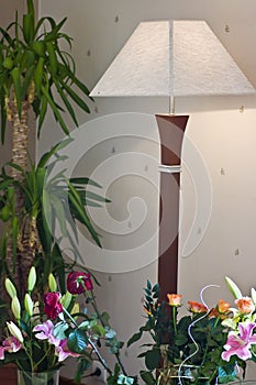 Floor lamp and flowers