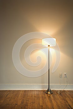 Floor lamp on hardwood floor.