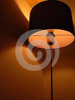 Floor lamp inside my room.I love the color.
