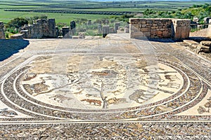 Floor mosaic in Orpfeus house in Roman ruins, ancient Roman city of Volubilis. Morocco