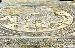 Floor mosaic in Orpfeus house in Roman ruins, ancient Roman city of Volubilis. Morocco