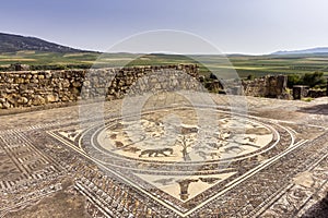 Floor mosaic in Orpheus house at archaeological Site of Volubilis