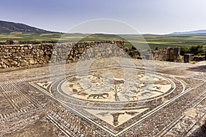 Floor mosaic in Orpheus house at archaeological Site of Volubilis photo