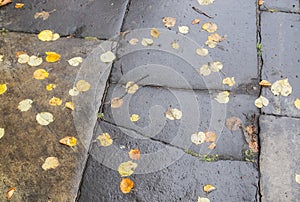 Floor of stones wet from the rain and autumn leaves