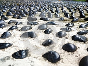 The floor texture of a garden is made of small black rocks, hard and beautiful