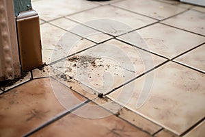 floor tiles with accumulated dirt in corners and edges