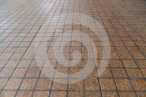 Floor tiles brown