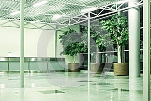 Floor tub potted ficus Benjamin trees in commercial interior