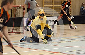 Floorball Goalie