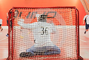 Floorball goalkeeper action back net goalie goal save