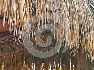 Flooring of dry palm leaves on the roof close-up