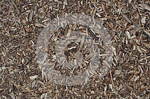 Flooring made of natural tree wood chips. Brown wooden background