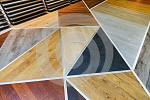 Flooring shop - laminate samples on the floor