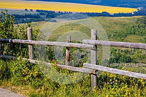 Flora abounds around the ranch. Glenbow Ranch Provincial Recreation Area Alberta Canada