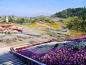 Flora Park - Nakhon Ratchasima