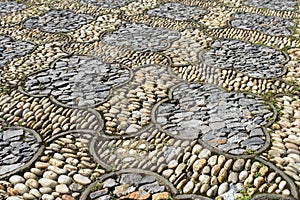 Flora Stone Pavement