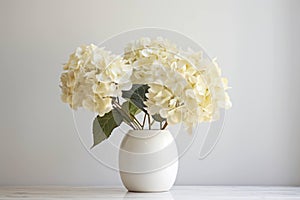Flora summer plant vase nature blossom floral bouquet beauty decor blooming white background flowers