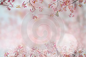 Floral abstract background. Shallow depth of field