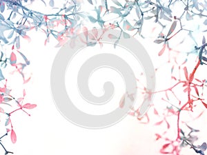 Floral abstract monotone color background.
