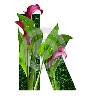 Floral alphabet font letter k with flowers and leaves, isolated on white background