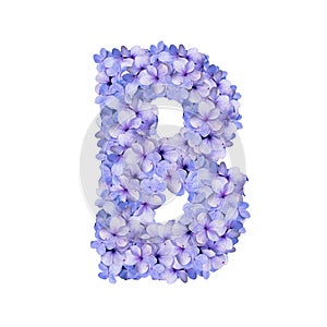 Floral Alphabet hydrangea blossom