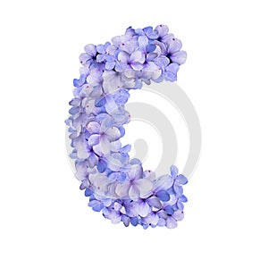 Floral Alphabet hydrangea blossom