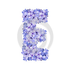 Floral Alphabet hydrangea blossom