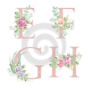 Floral alphabet - letters E, F, G, H. The letters of the alphabet are pink and decorated with watercolor roses.