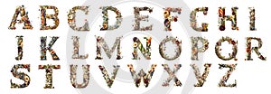 floral alphabet - letters made from flowers