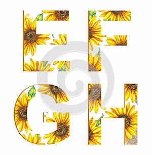 Floral alphabet set - letters E, F, G, H. Alphabet letters cut from sunflowers pattern.