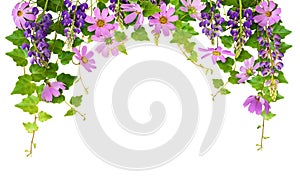Floral arch with ivy leaves and flowers for top border isolated on white