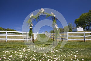 Floral Archway on Wedding Day