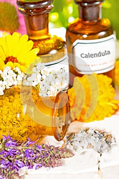 Floral aromatherapy, essential oil and plant extracts
