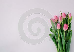 Floral arragement with pink tulips on bright background. Minimal concept. Copy space