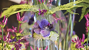 Extraordinary floral arrangement blue orchid, chrysanthemum and fern