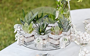 Floral arrangement composition for wedding banqueting photo