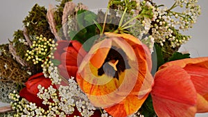 Floral arrangement and decoration. Flower mix of red and orange tulips, viburnum flowers. Floral design close-up