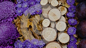 Floral arrangement and decoration. Pattern of flowers and wooden cuts close-up Flowers.